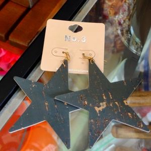 NWT Texas Earrings
